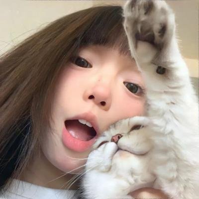 莫西干回到故乡