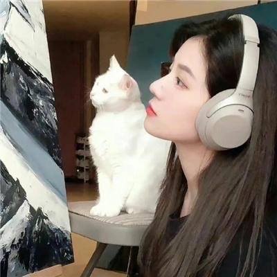 七枭雄